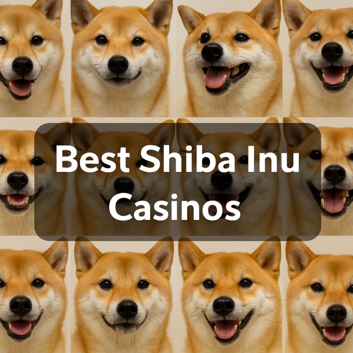 Best Shiba Inu Casinos 2026