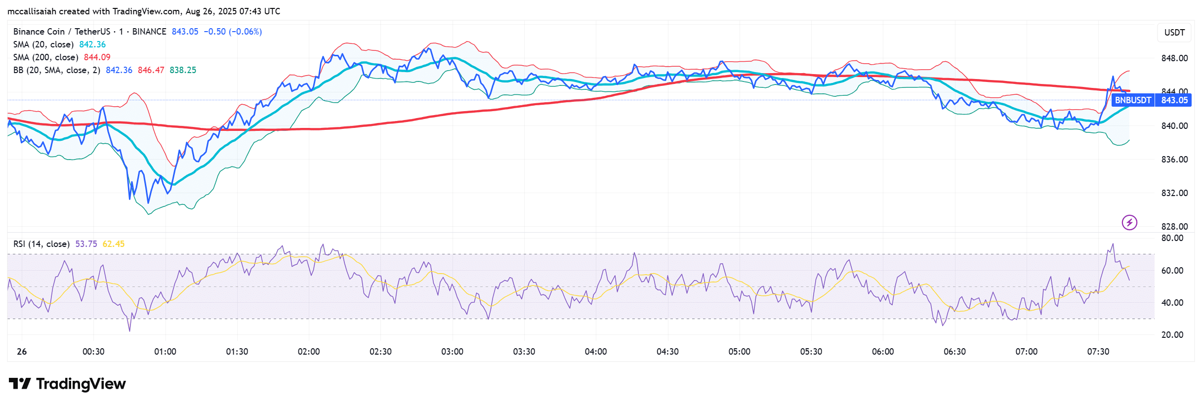 Is CZ Family Office Going to Pump BNB Price in September? - 99Bitcoins