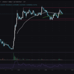 Whales Accumulate BONK Despite Battered BONK Price Structure: Is BONK About to Blast?