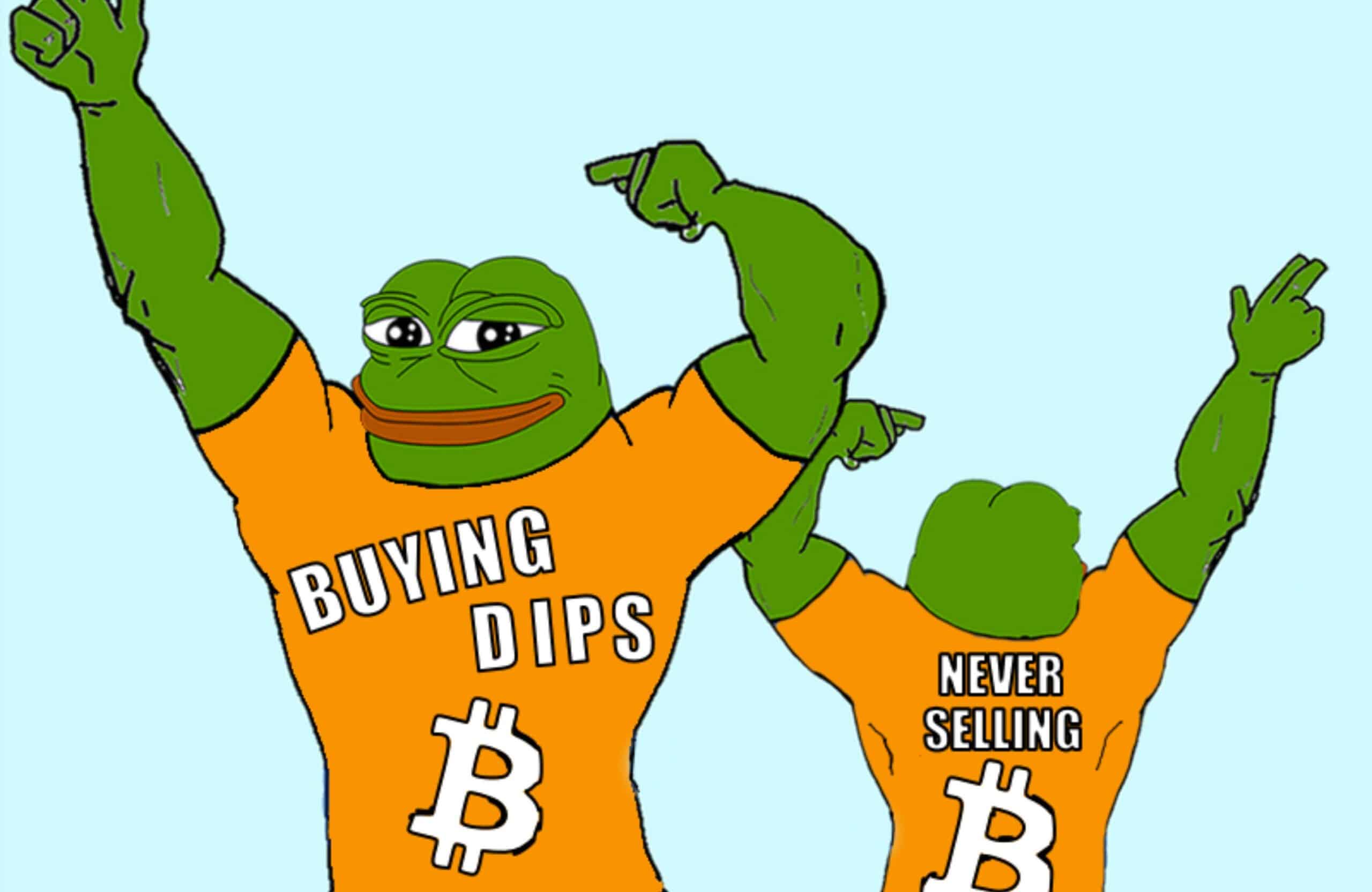 Bitcoin DeFi Will Dominate Q4: BARD Crypto Launches After $6.5M