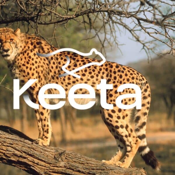 Digital IDs Just Killed Keeta Price: Is KTA Crypto Ultimate Warning Over Trump Crypto IDs?
