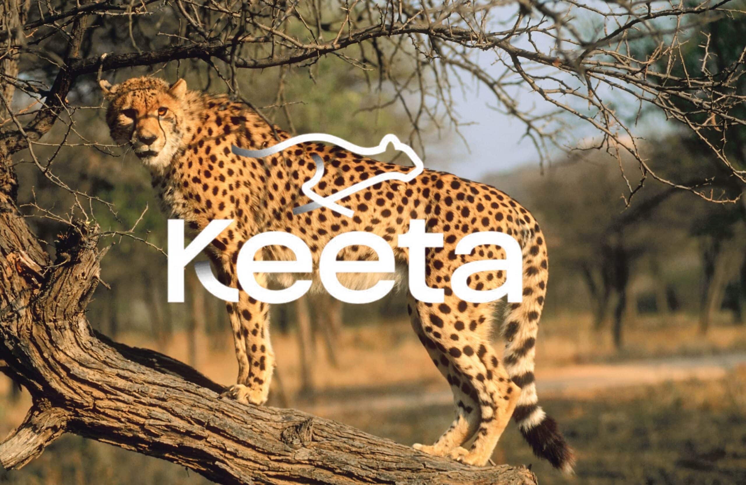 Digital IDs Just Killed Keeta Price: KTA Crypto Warning For Trump?