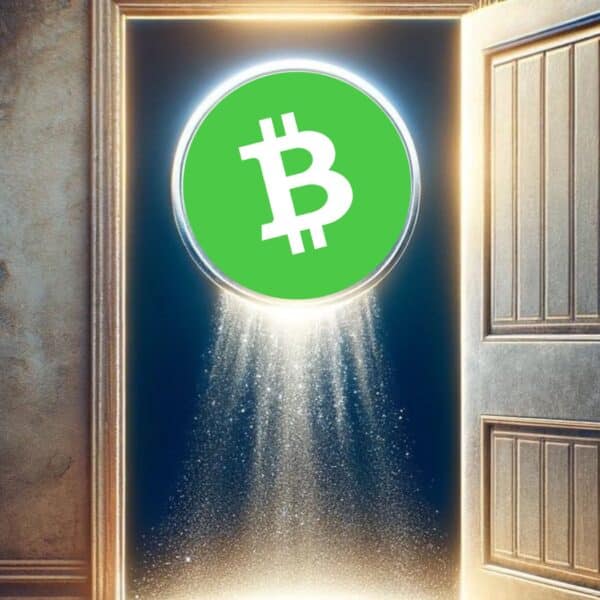 Bitcoin Cash: Can It Ever Replace the Real Bitcoin?