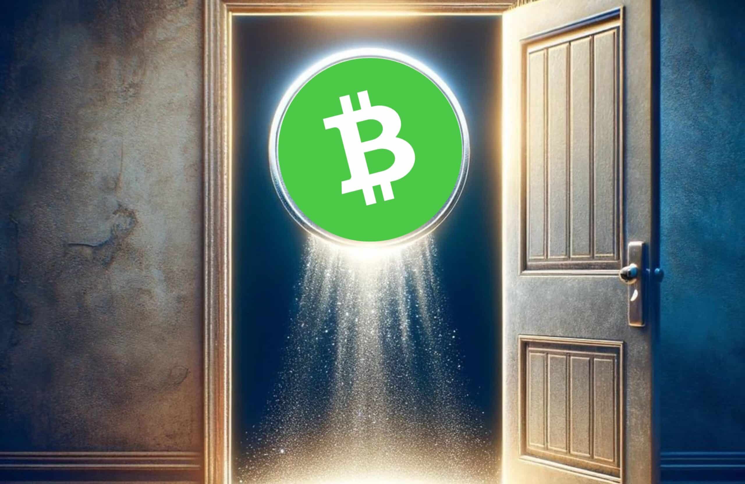 Bitcoin Cash: Can It Ever Replace the Real Bitcoin? - 99Bitcoins