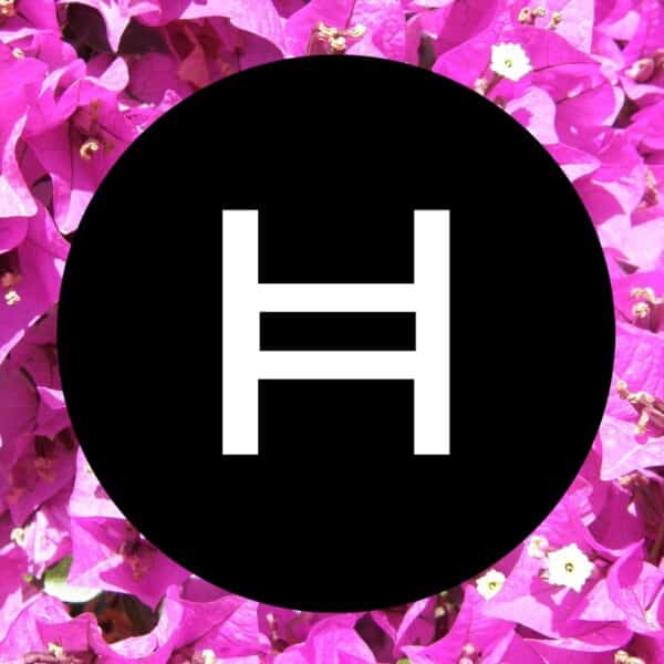 HBAR Price Set to Go Beserk: ERC3643, T-REX Protocol, New Era For Hedera?