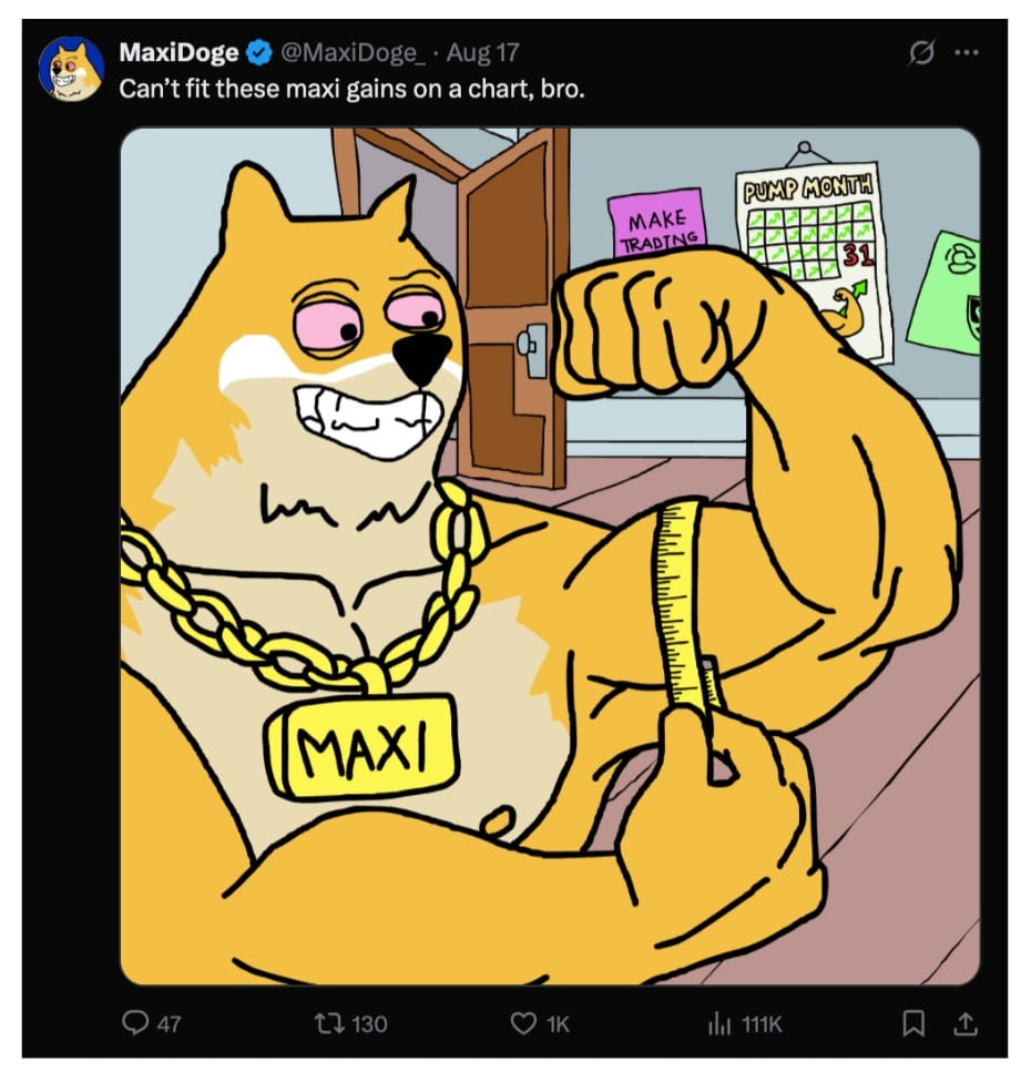 Dogecoin Just Hit Its Classic Pump Pattern – Could Maxi Doge Be Next? -  99Bitcoins