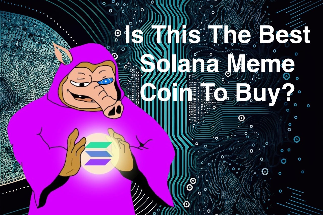 Solana Altcoins Crash: Best Solana Meme Coin To Buy On The Dip