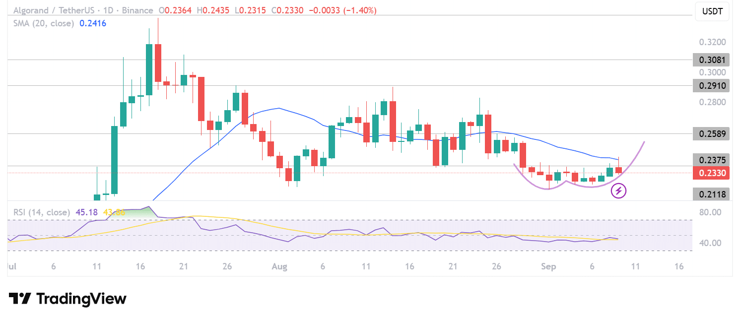 Algorand Hits Harvard and United Nations: ALGO Price To $0.30?