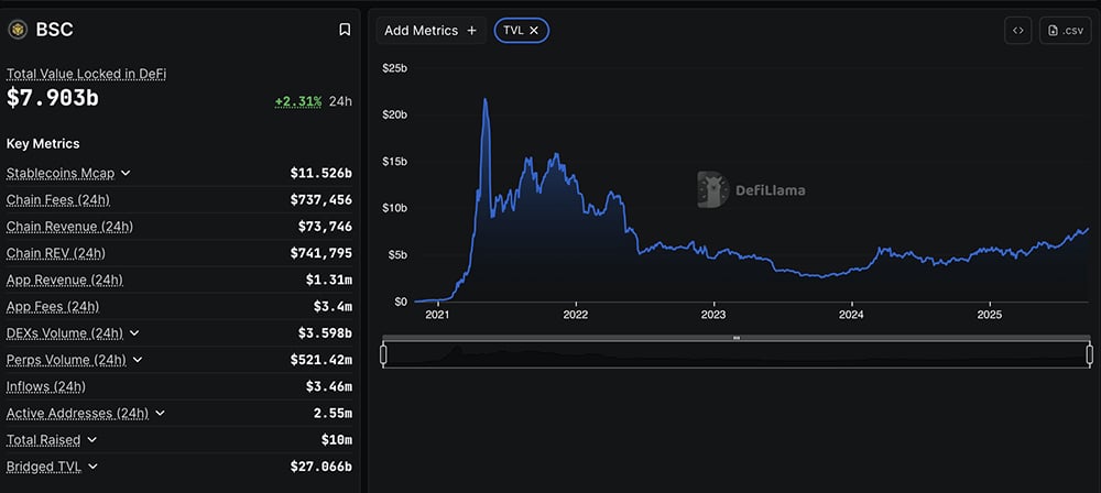 The BNB crypto price has officially blasted past the $1,000 mark, flipping Solana and sparking excitement memecoin scene on BSC.