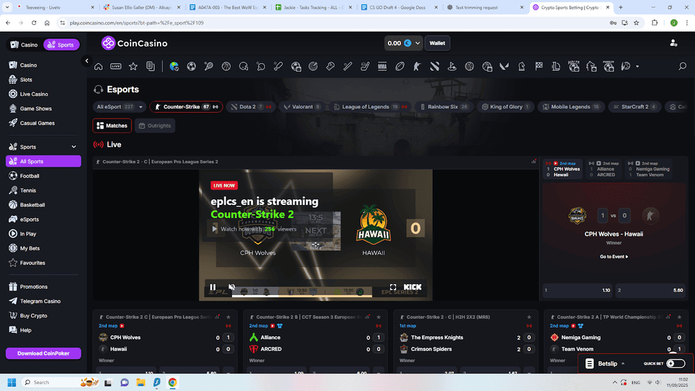 Secure CS2 crypto gambling sites for esports 