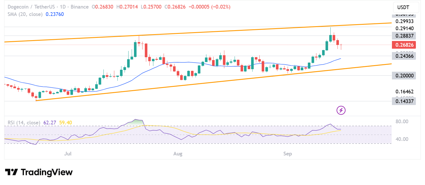 Dogecoin Treasuries Accumulate Ahead of DOGE ETF Launch
