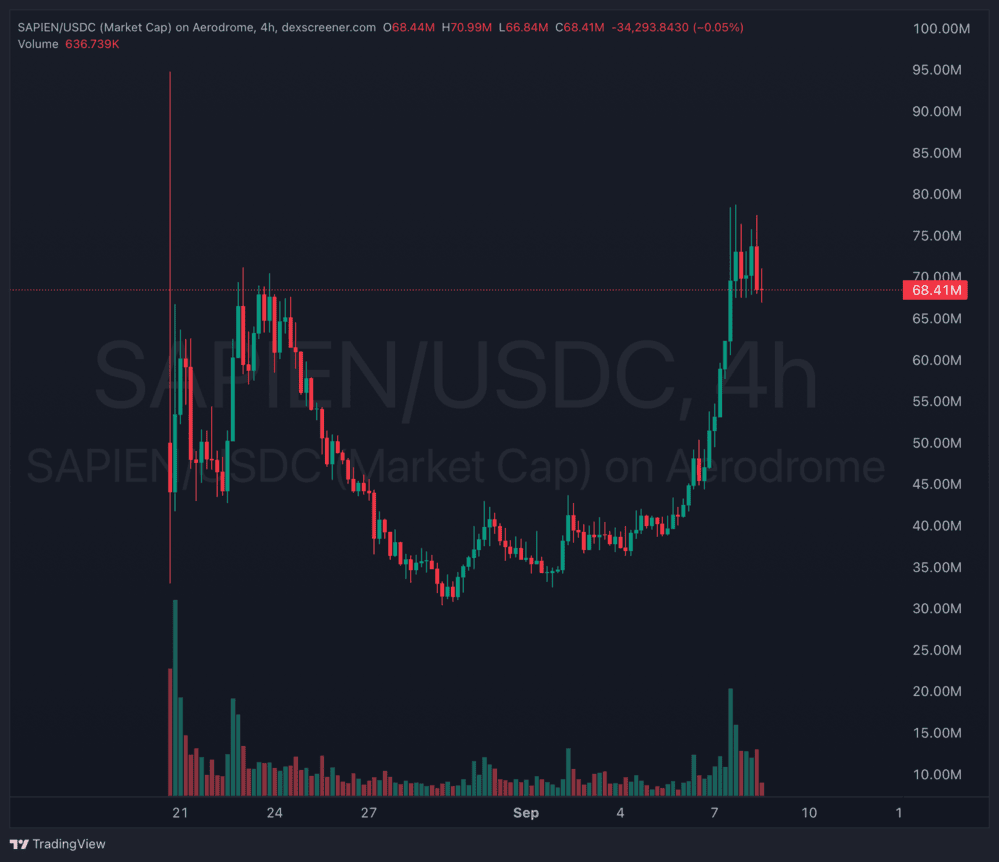 TIBBIR, SAPIEN: Are AI Meme Coins Next Crypto to Pump?
