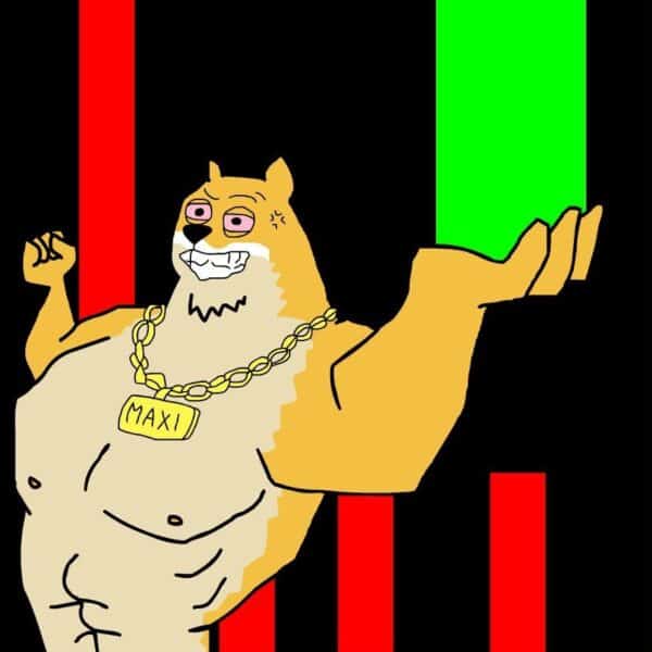 Meme Coins Struggle Against USD Strength: But MAXI Coin Just Slammed $2.5M Raised