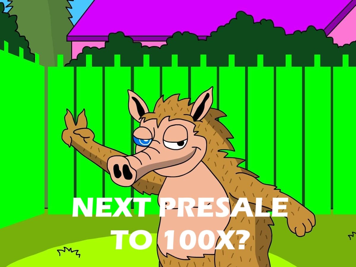Meme Coin Market Booms: Is New Presale Next Meme Coin 100X?