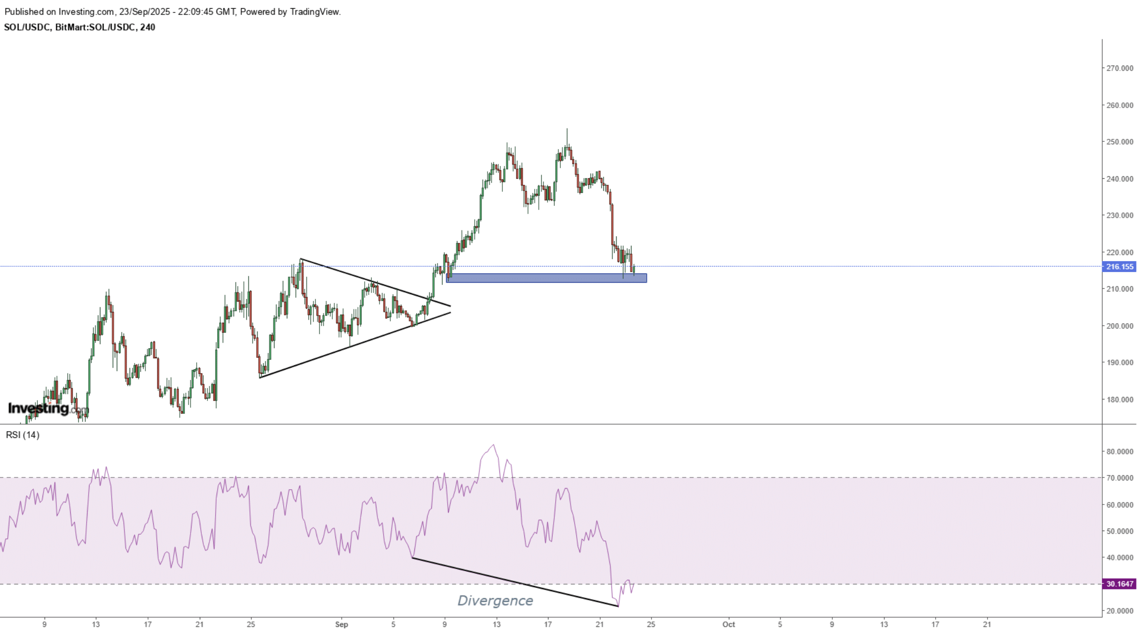 SOL USD is taking a pounding and is close to losing the $200 level, which could see it fall to $160 - is there any hope for Solana bulls?