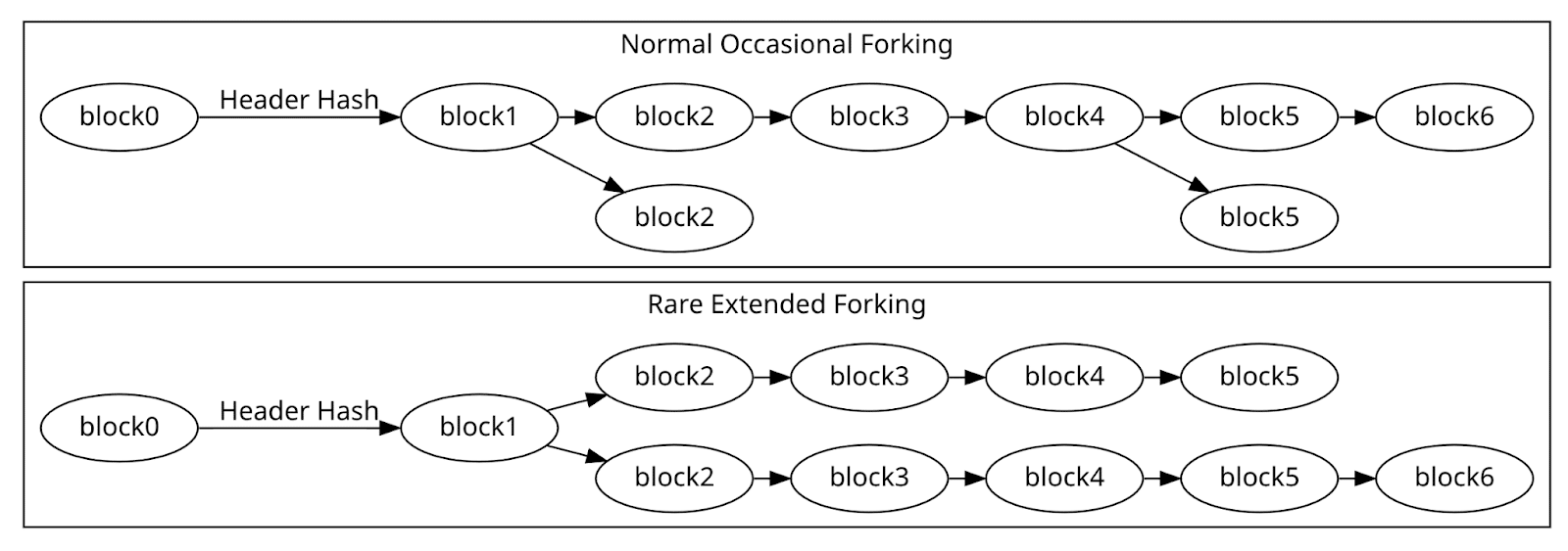 bitcoin longest chain