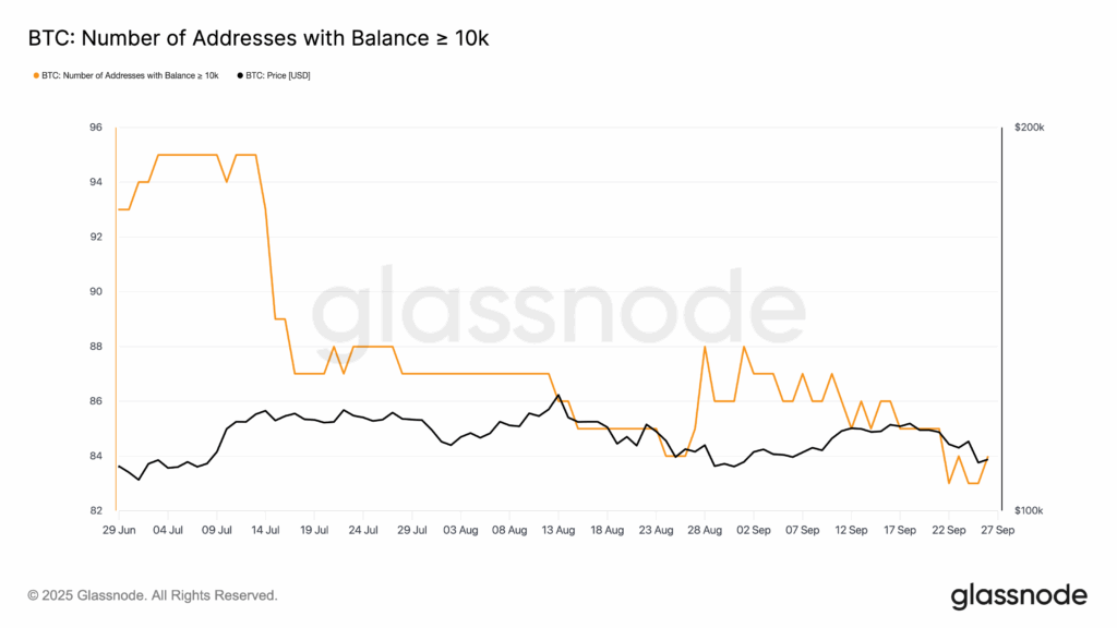 Q3 Crypto Market report