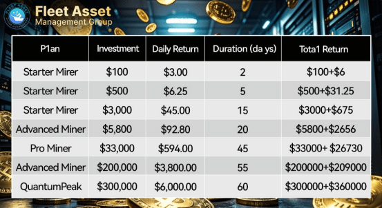 Fleet Asset management Group