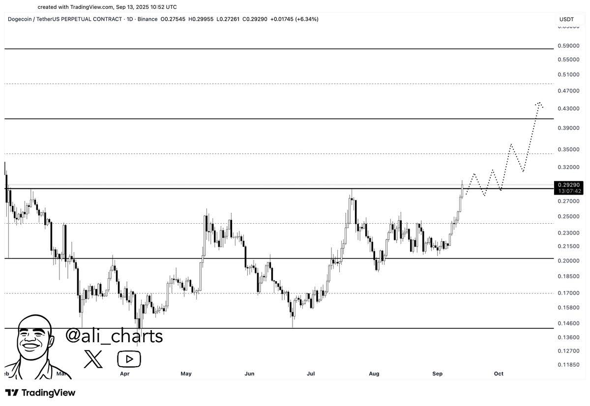 Did Dogecoin ETF Just Change Everything For Meme Coins? - 99Bitcoins