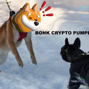 Can Bonk Crypto Kick Solana Meme Coin Season Back? Or Is This A Bitcoin Dominated Cycle?