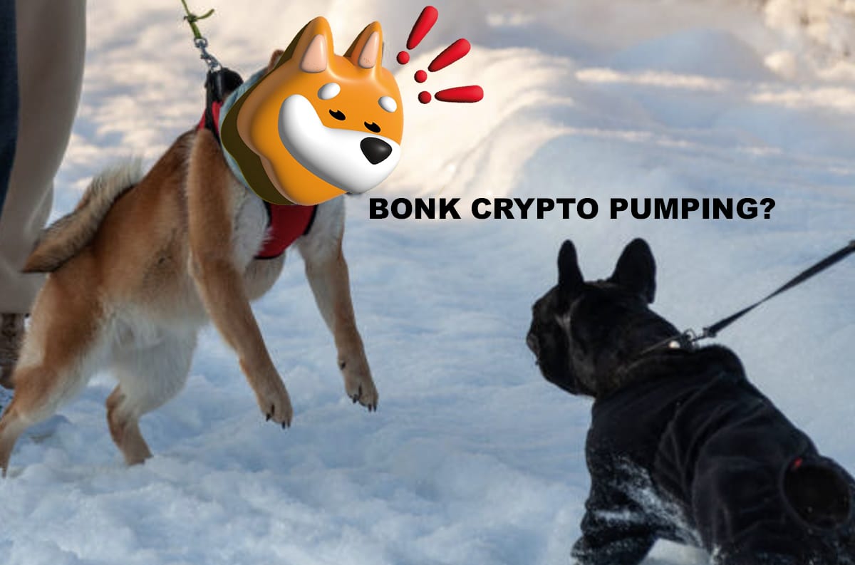 Can Bonk Crypto Kick Solana Meme Coin Season Back? Or Is This A Bitcoin  Dominated Cycle? - 99Bitcoins