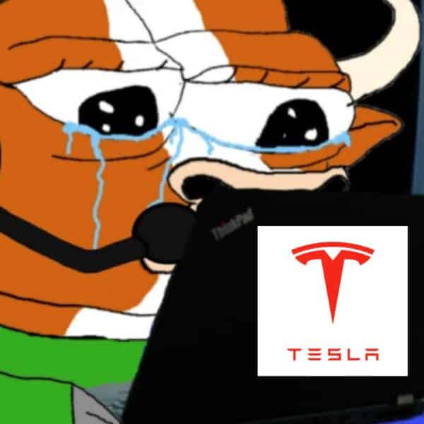 Tesla Earnings Report Prediction: Next Crypto to Explode as TSLA Stock Flashes Red