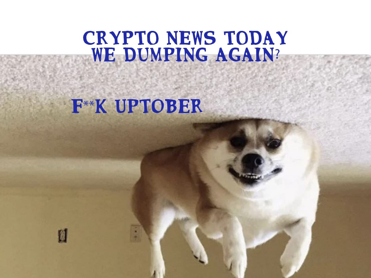 Crypto Market News Today, October 14: Bitcoin Price Crash Aftermath, Crypto  Mogul Found Dead, Whale Adds Another Short | Reversal Coming? - 99Bitcoins
