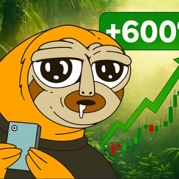 SLERF Skyrocketing +600% After Delisted from Binance: Best Meme Coin to Buy?