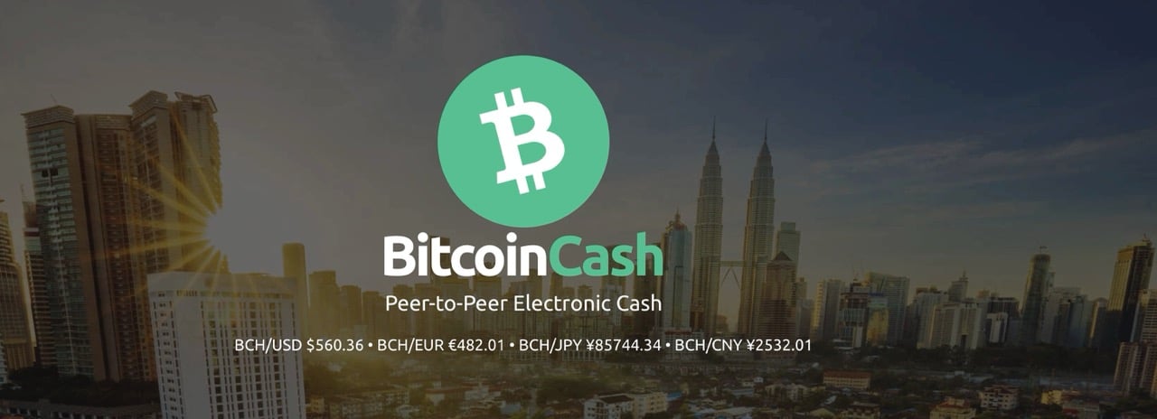 What is Bitcoin Cash