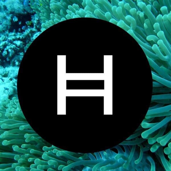 HBAR steps onto Wall Street: Canary’s Hedera ETF Going Live on Nasdaq Imminently