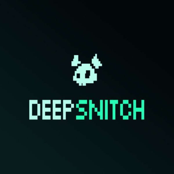 How to Buy DeepSnitch AI (DSNT): A Beginner’s Guide