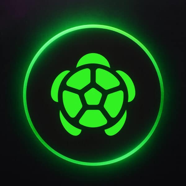 What Is Turtle Crypto? The Web3 Project Backed by ConsenSys and Linea