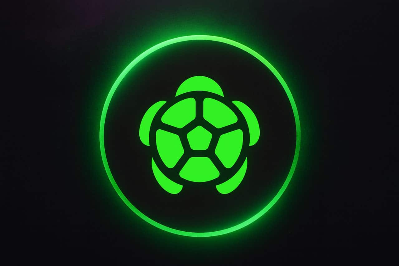 What Is Turtle Crypto? The Web3 Project Backed by ConsenSys and Linea -  99Bitcoins