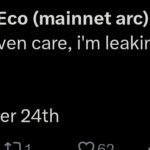 Why is Everyone So Excited About Monad Crypto? - 99bitcoins | Related Crypto Article