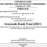 Will Winklevoss Twins Successfully Takeover ZCash? - 99bitcoins | Related Crypto Article