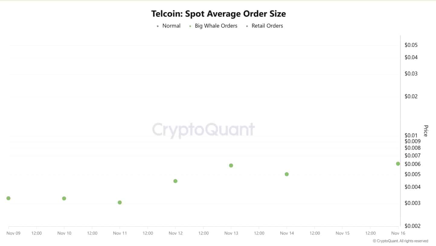 STRK, DASH, and TEL surge despite market fear, posting sharp gains as traders hunt strong mid-cap altcoin momentum.