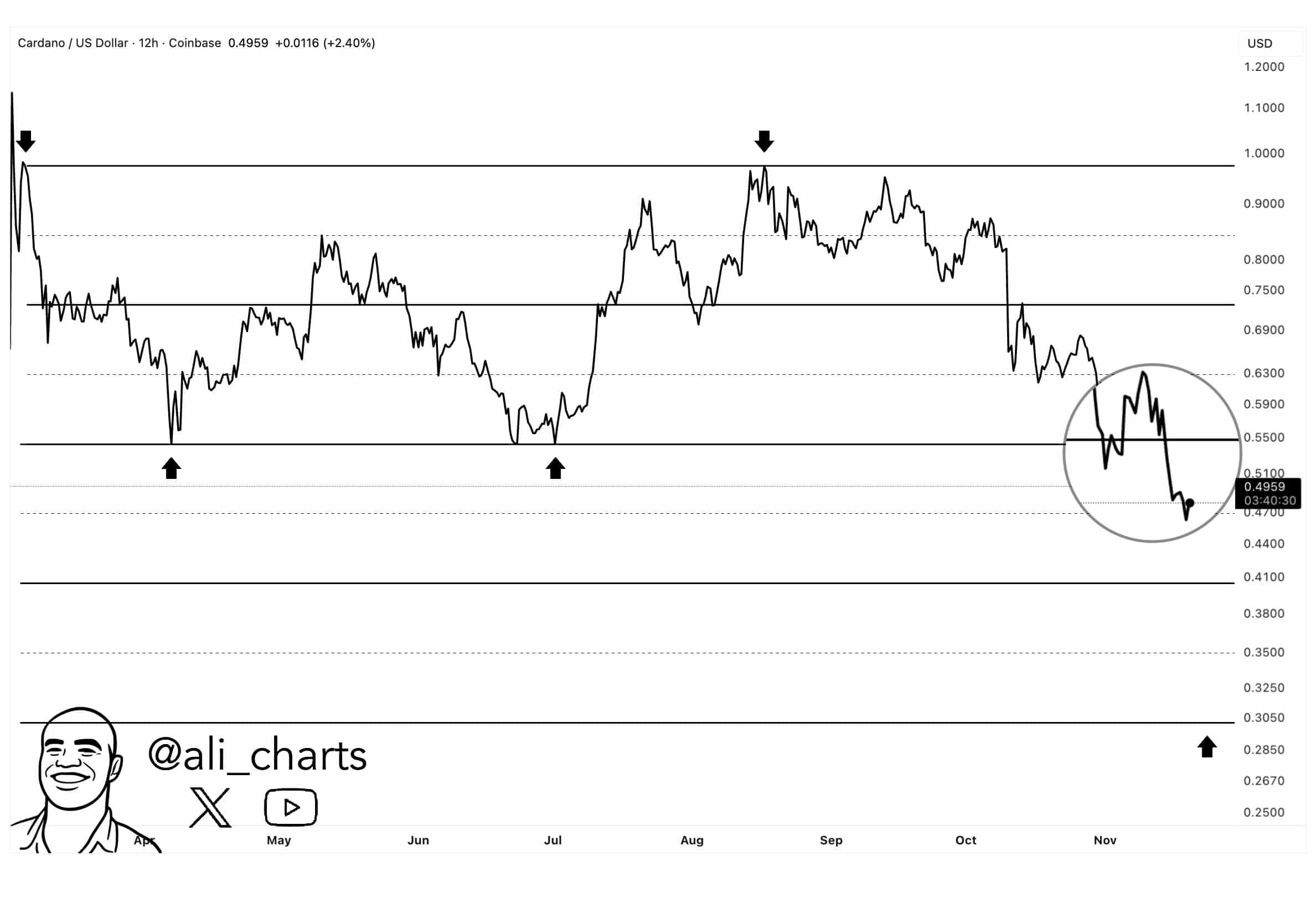 Cardano slips toward $0.50 as sentiment weakens. Hoskinson urges optimism while charts hint at a possible $0.30 support.