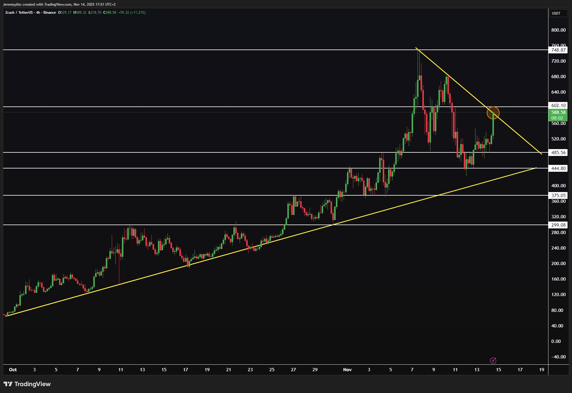 ZCash Bounces Hard: Will ZEC Crypto Be the Biggest Winner this Bear Market?