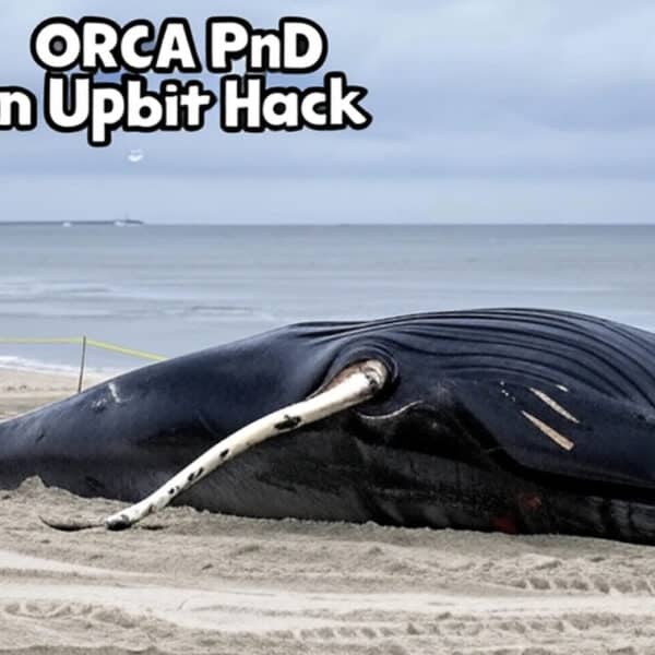ORCA Pump and Dump on Upbit Crypto Hack: Bounced on the Aftermath Following Suspension