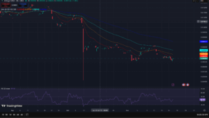 ZIL Trading View_17 November