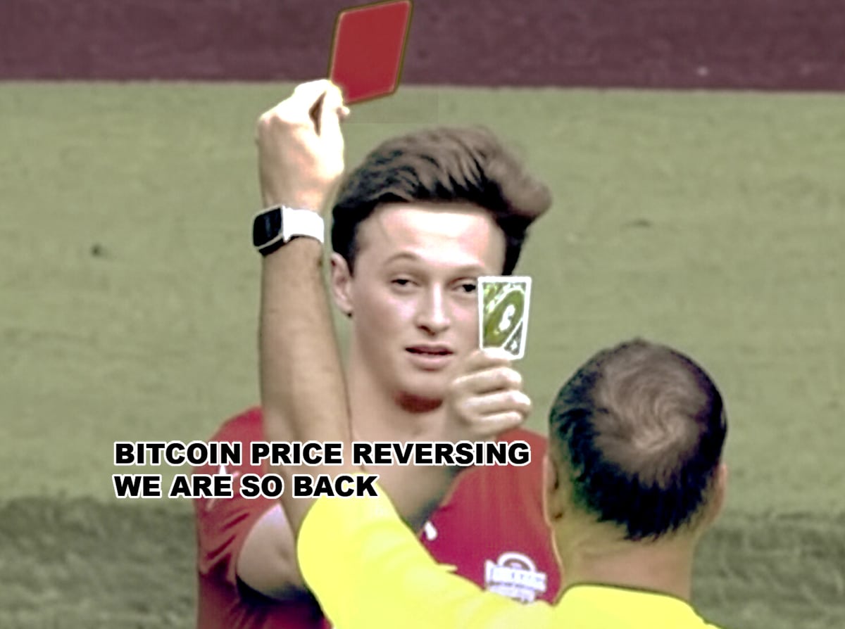 Crypto Market News Today, November 20: Bitcoin Price Dumped But Reversed  Like Greased Lightning after Nvidia Earning Report, We Are So Back! -  99Bitcoins