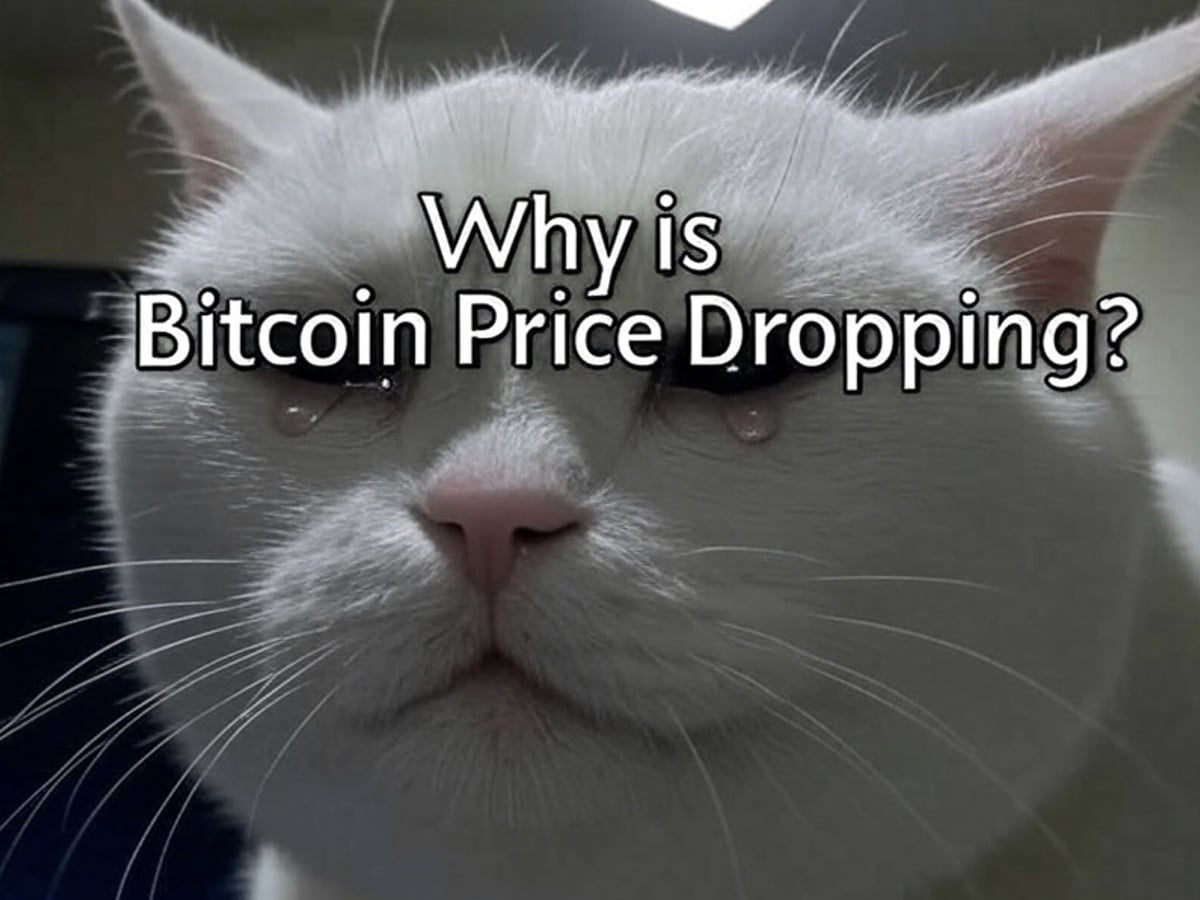 Crypto News Today, November 18: Why is Bitcoin Price Dropping? Are We  Expecting a Bear Market as Bull Run Failed to Pump Altcoins? - 99Bitcoins
