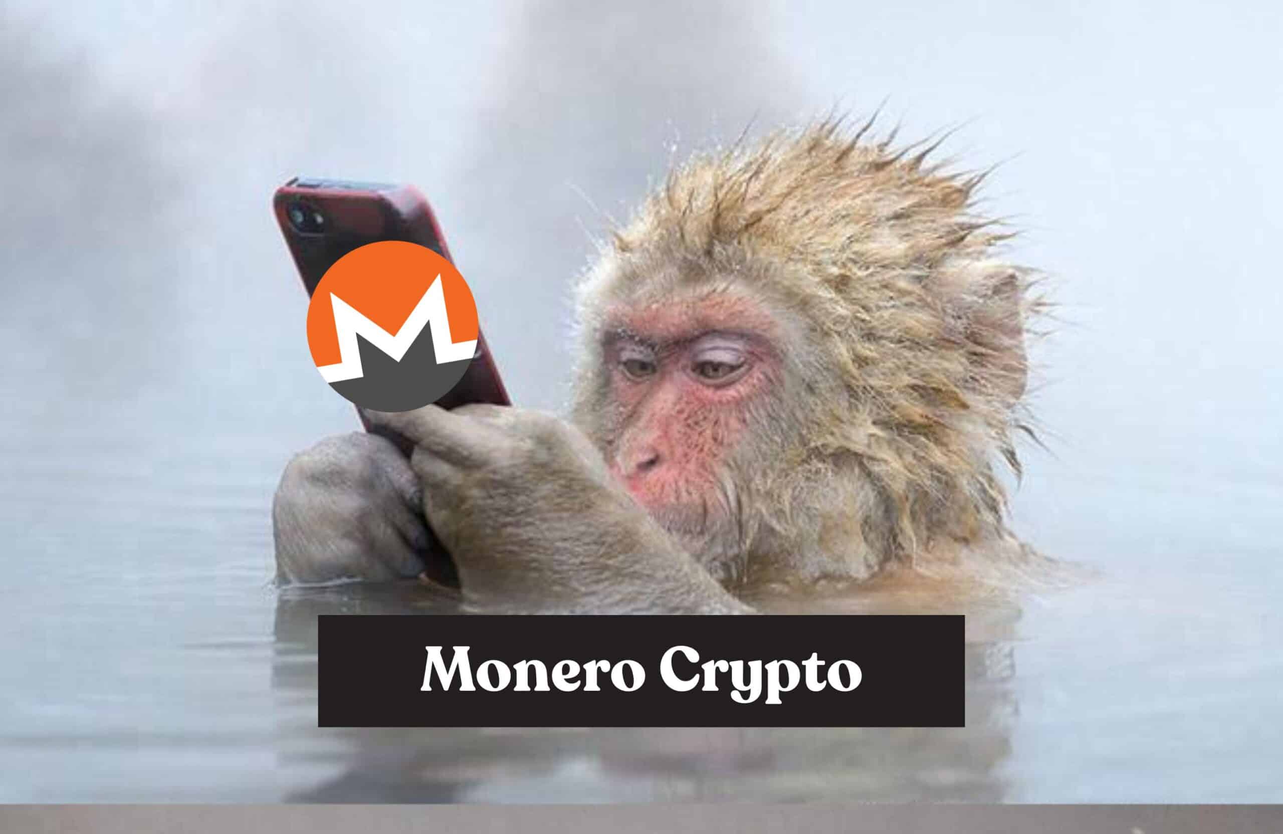 XMR Price Near Resistance: Is Monero Crypto Heading to $900