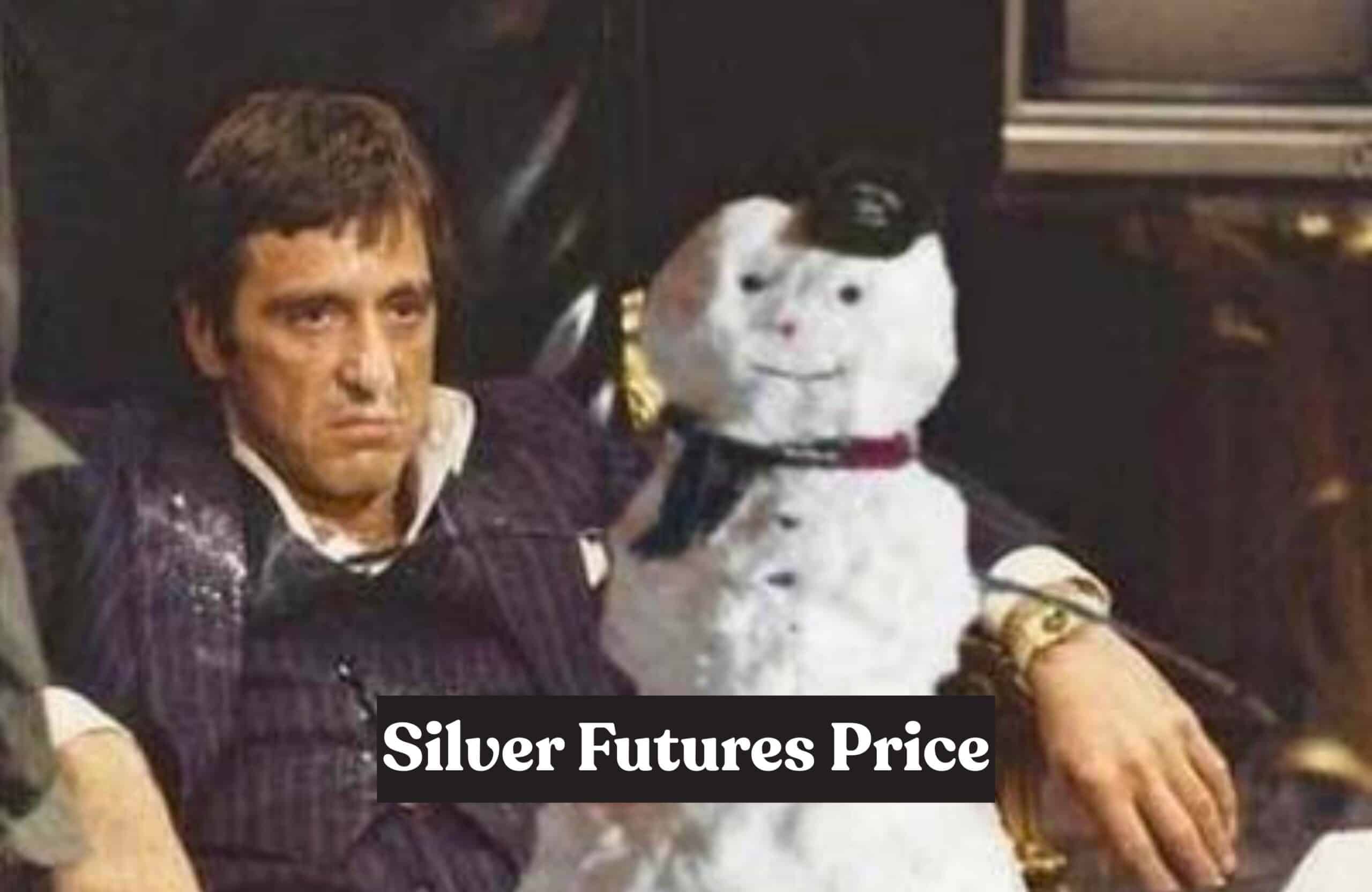 Silver Futures Price Rally Is “Gold on Steroids,” But Have We Topped?