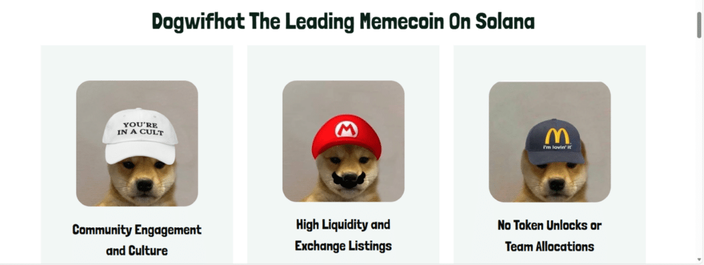 Leading meme coin on Solana