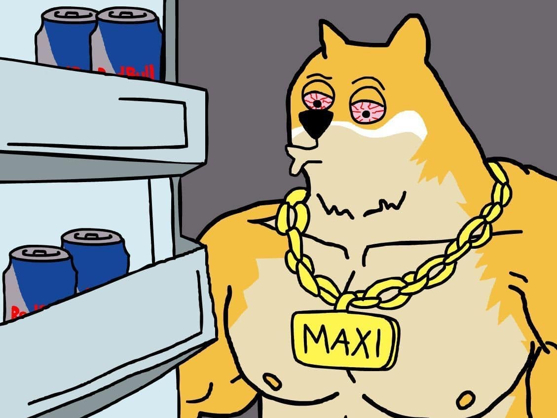 Highest IQ In World Backs DOGE: Rep Max Bros Target MAXI