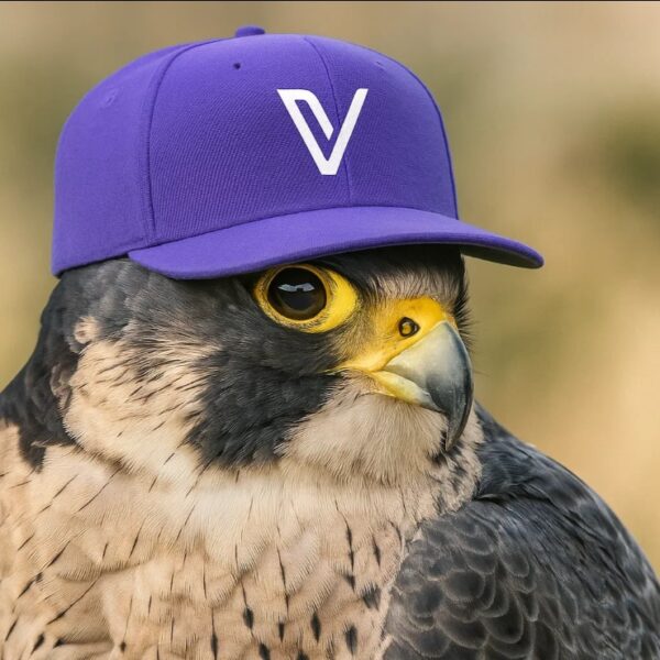 VeChain Hayabusa Mainnet Goes Live: VET Price Prediction as VET Crypto Forms Double Bottom