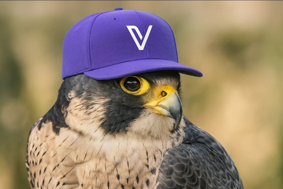 VeChain Hayabusa Mainnet Is Live: VET Crypto Price Prediction