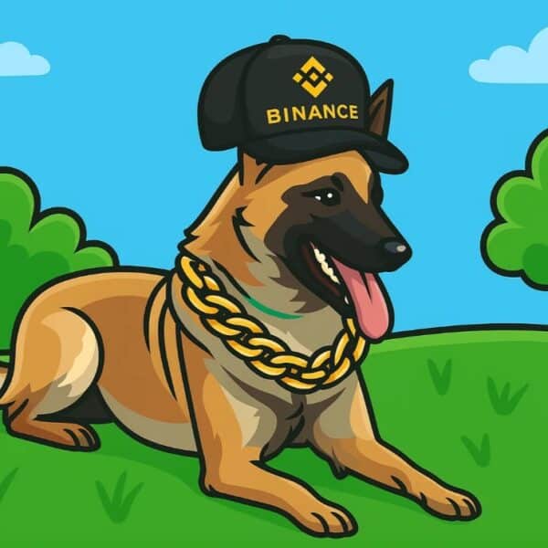 Binance Blockchain Week Starts With Pierre Gasly: Top 3 Binance Meme Coins to Buy Now?