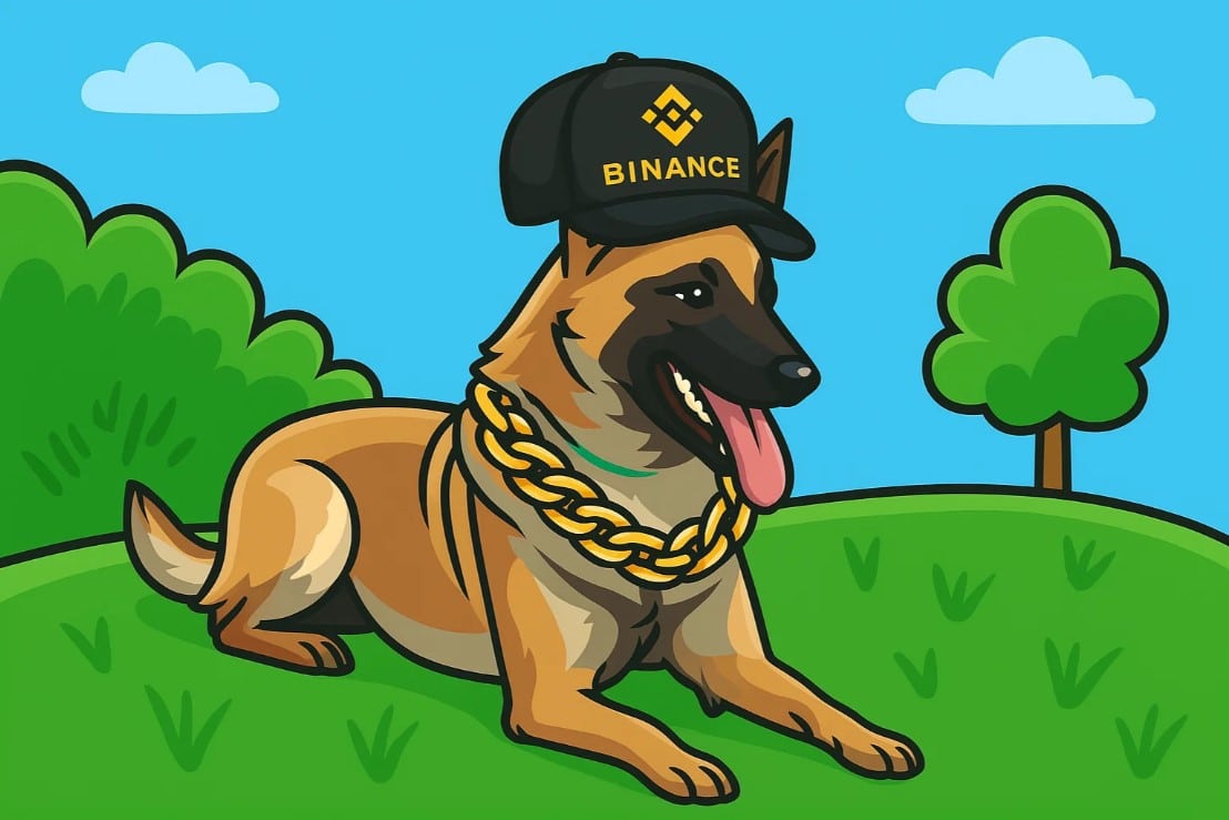 Binance Blockchain Week Starts: Top 3 Meme Coins to Buy Now?